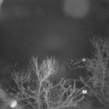 Webcam_20240304-051500