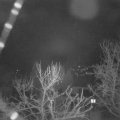 Webcam_20240304-054500