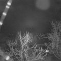 Webcam_20240304-060000