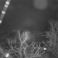 Webcam_20240304-061500
