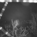 Webcam_20240305-050000