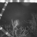 Webcam_20240305-053000