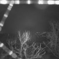 Webcam_20240305-061500