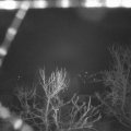 Webcam_20240306-054500