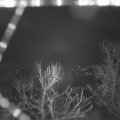 Webcam_20240306-060000