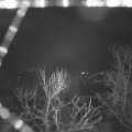 Webcam_20240306-061500