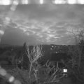 Webcam_20240306-071500