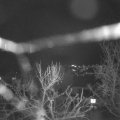 Webcam_20240306-204500