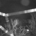 Webcam_20240307-050000