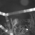 Webcam_20240307-060000