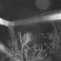 Webcam_20240308-050000