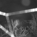 Webcam_20240308-051500