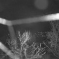 Webcam_20240308-054500