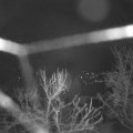 Webcam_20240308-060000