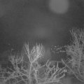Webcam_20240310-050000