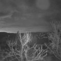 Webcam_20240310-064500