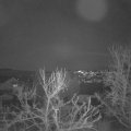 Webcam_20240311-201500