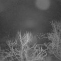 Webcam_20240312-050000