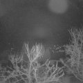 Webcam_20240312-051500