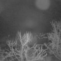 Webcam_20240312-060000