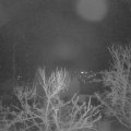 Webcam_20240312-061500