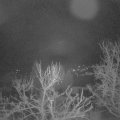 Webcam_20240312-063000