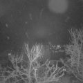 Webcam_20240312-220000