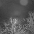 Webcam_20240313-050000