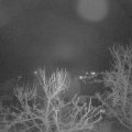 Webcam_20240313-063000