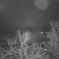 Webcam_20240313-064500