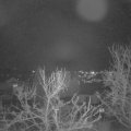 Webcam_20240314-204500