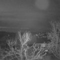 Webcam_20240315-064500