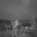 Webcam_20240316-070000