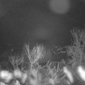 Webcam_20240317-051500