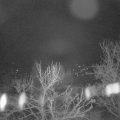 Webcam_20240317-053000