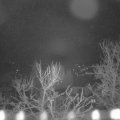 Webcam_20240317-054500