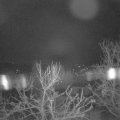 Webcam_20240317-060000