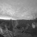 Webcam_20240317-070000