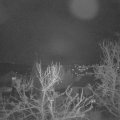 Webcam_20240317-210000