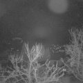 Webcam_20240318-051500