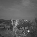 Webcam_20240319-201500