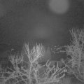 Webcam_20240320-050000