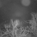 Webcam_20240320-051500