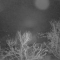 Webcam_20240320-053000