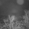 Webcam_20240320-060000