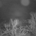 Webcam_20240321-053000
