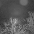 Webcam_20240321-054500