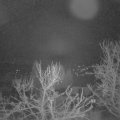 Webcam_20240321-060000