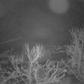 Webcam_20240322-050000