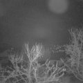 Webcam_20240322-051500